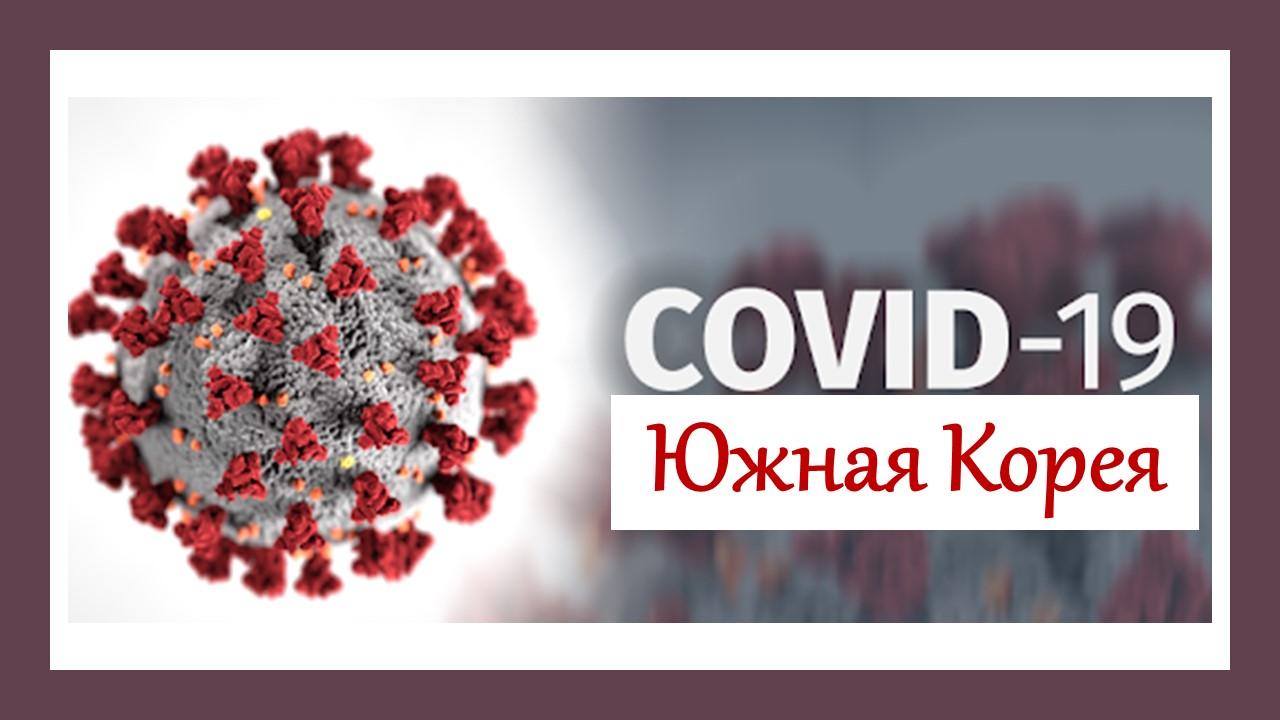 коронавирус в корее