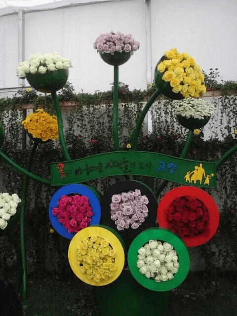 Фестиваль цветов в Корее в 2012 г