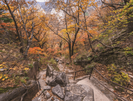 Как проводят выходные корейцы или почему корейцы любят горы