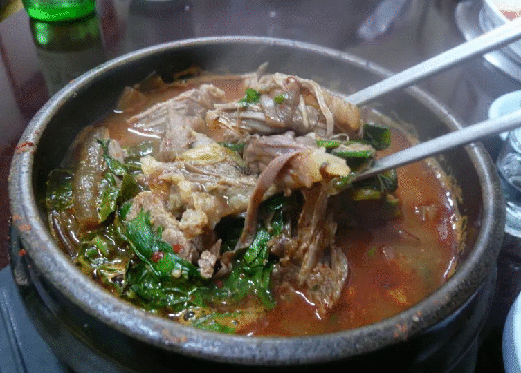 Едят ли в Корее собак в самые жаркие летние дни?